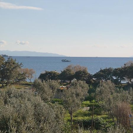 Mina'S Studios In Naxos Island アギオス・プロコピオス エクステリア 写真