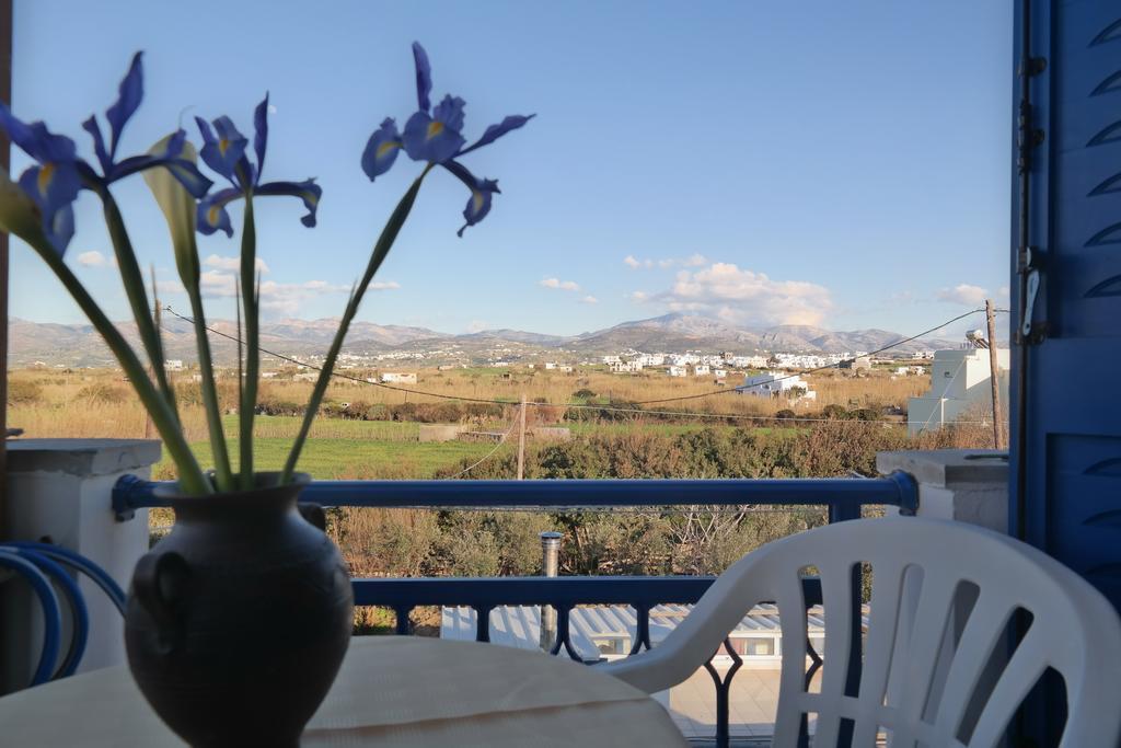 Mina'S Studios In Naxos Island アギオス・プロコピオス エクステリア 写真