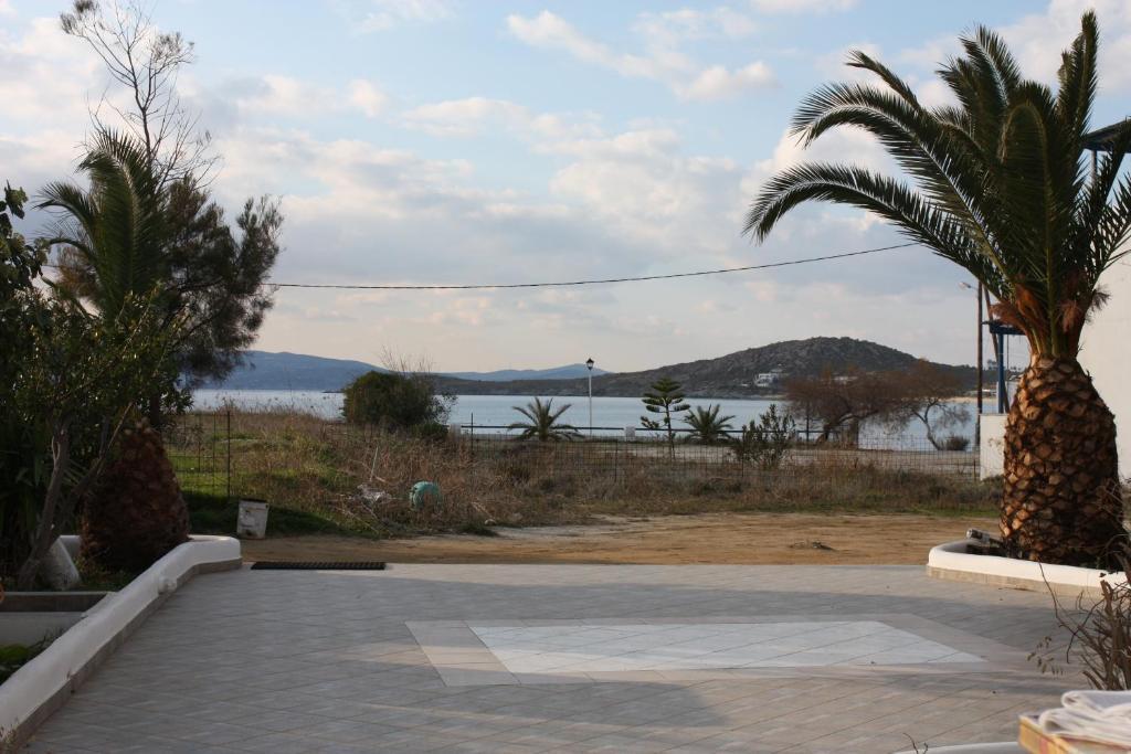 Mina'S Studios In Naxos Island アギオス・プロコピオス エクステリア 写真