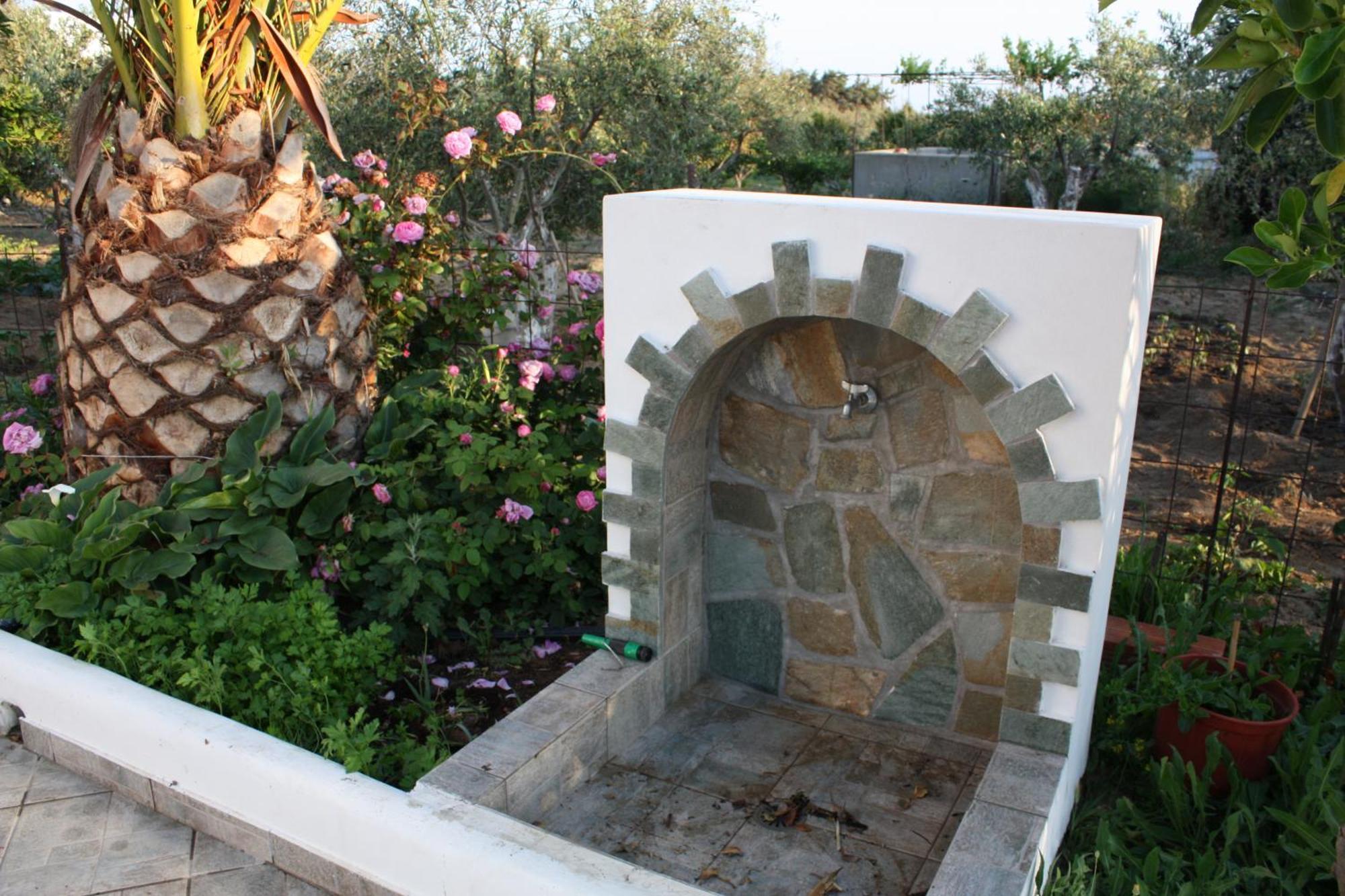 Mina'S Studios In Naxos Island アギオス・プロコピオス エクステリア 写真