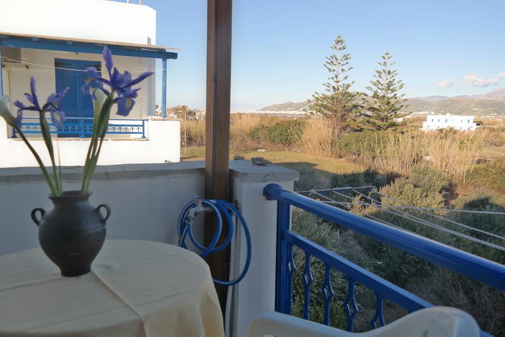 Mina'S Studios In Naxos Island アギオス・プロコピオス 部屋 写真